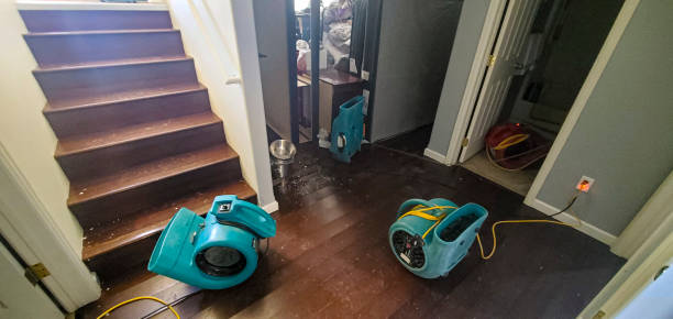 Best Water damage restoration experts  in Milam, TX