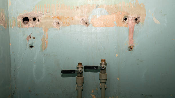 Best Emergency water damage restoration  in Milam, TX