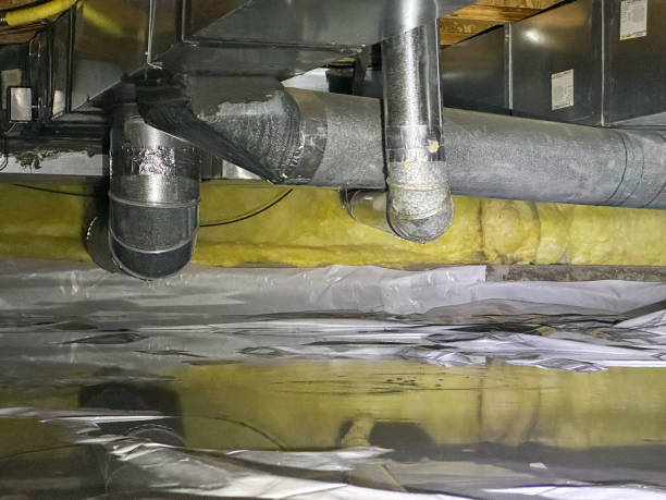 Best Water damage restoration near me  in Milam, TX