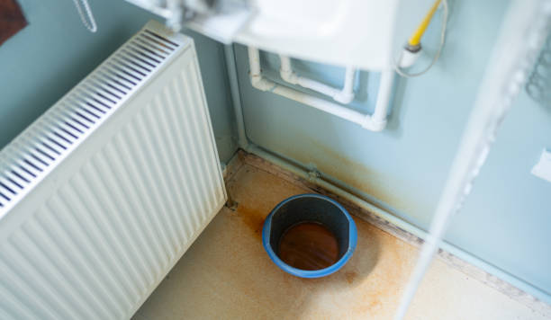 Best Local water damage restoration  in Milam, TX