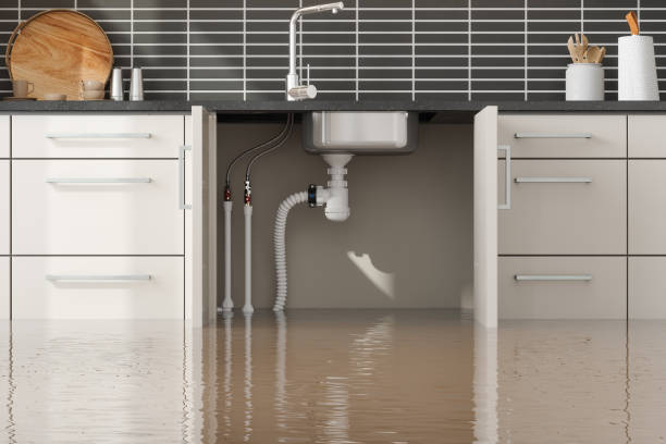 Best 24/7 water damage repair  in Milam, TX