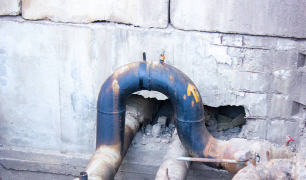 Best Water damage contractors near me  in Milam, TX
